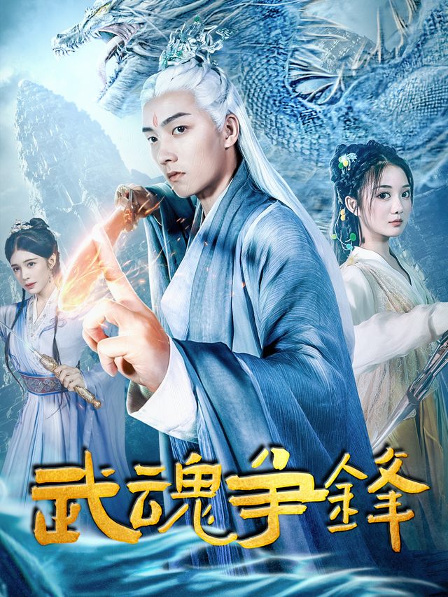 武魂争锋封面