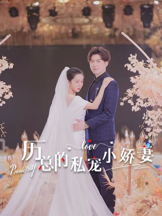 厉总的私宠小娇妻封面
