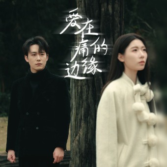 爱在痛的边缘封面