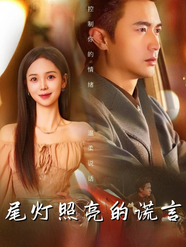 尾灯照亮的谎言封面