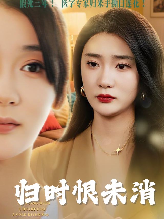归时恨未消封面