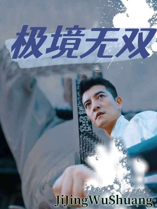 极境无双封面