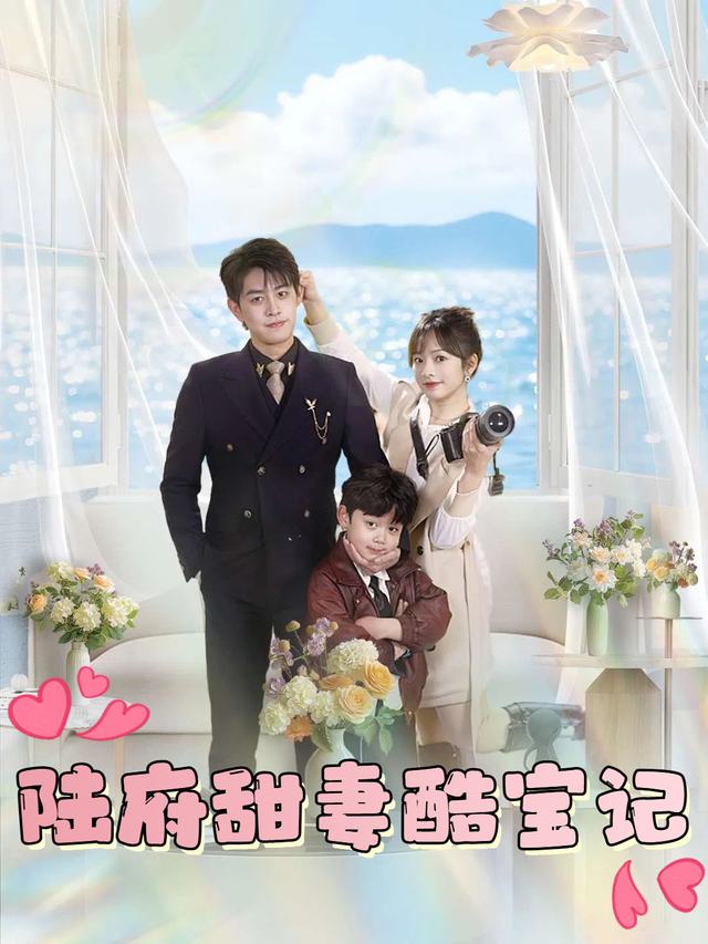 陆府甜妻酷宝记封面