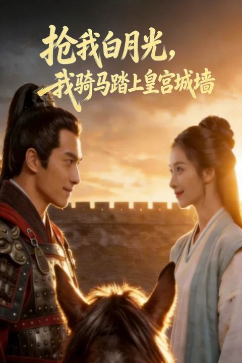 抢我白月光,我骑马踏上皇宫城墙封面