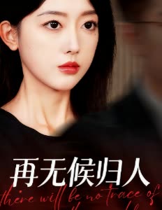 再无候归人封面