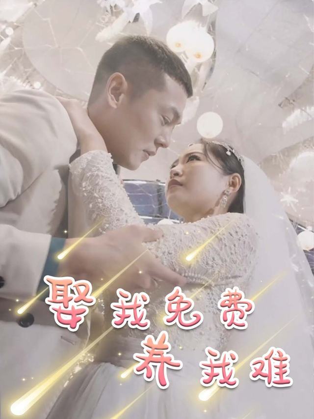 娶我免费养我难封面