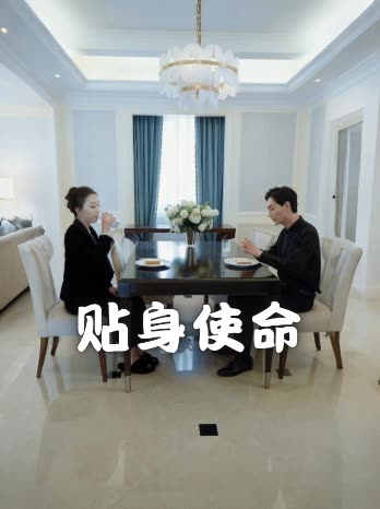 贴身使命封面