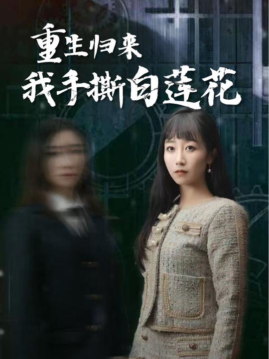 重生归来,我手撕白莲花封面