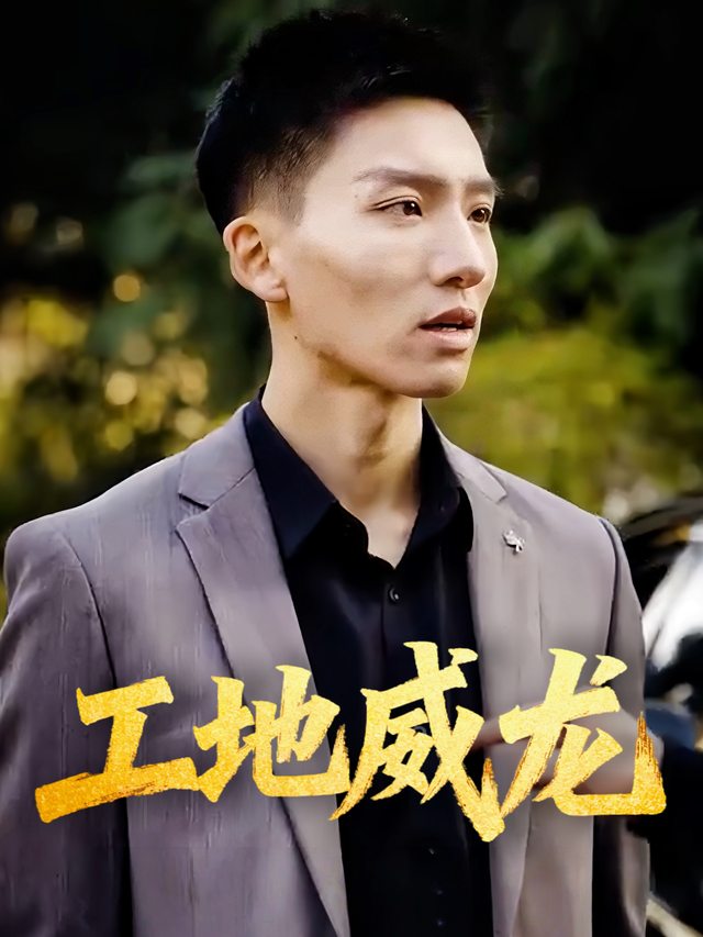 工地威龙封面