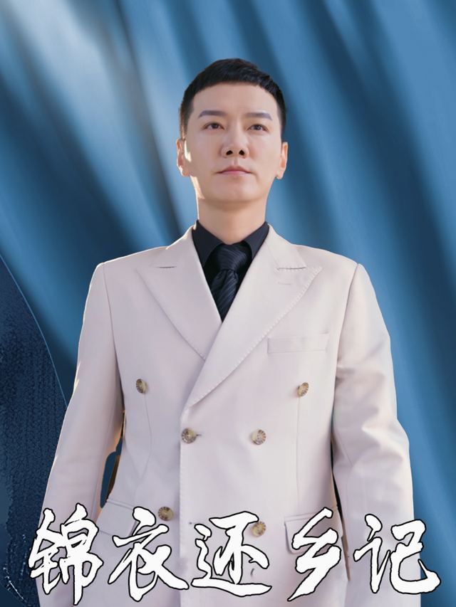 锦衣还乡记封面