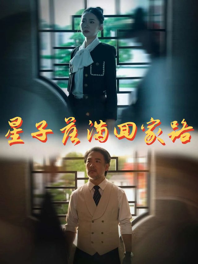 星子落满回家路封面