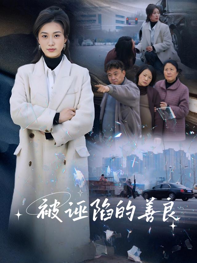 被诬陷的善良封面