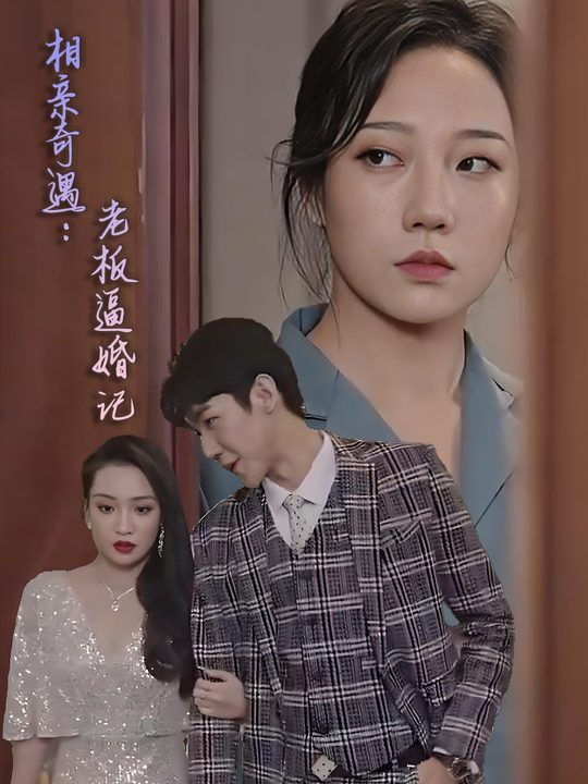 相亲奇遇:老板逼婚记封面