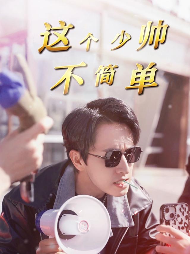 这个少帅不简单封面