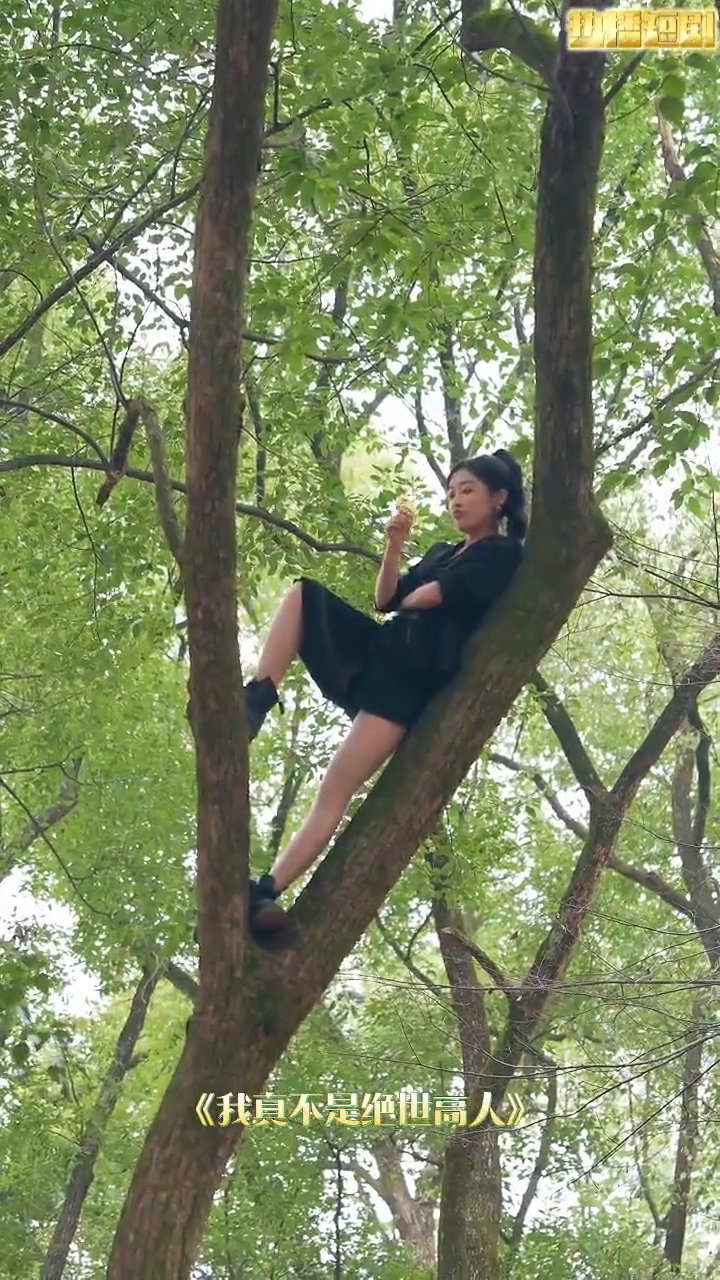 我不是绝世高人封面
