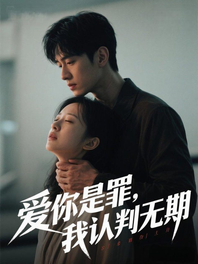 爱你是罪,我认判无期封面