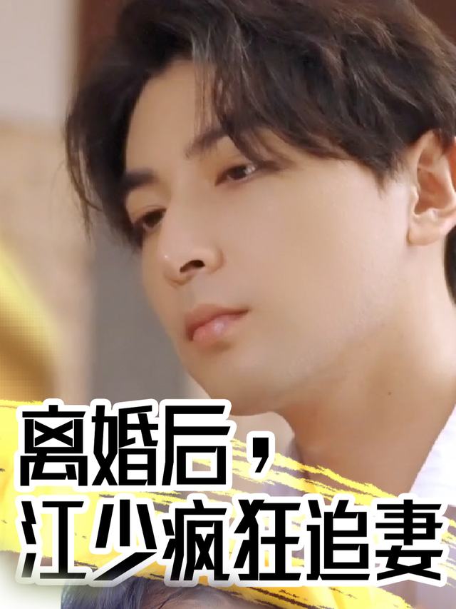 离婚后,江少疯狂追妻封面