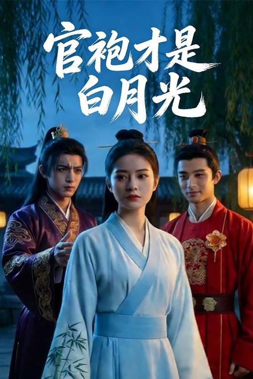 官袍才是白月光封面