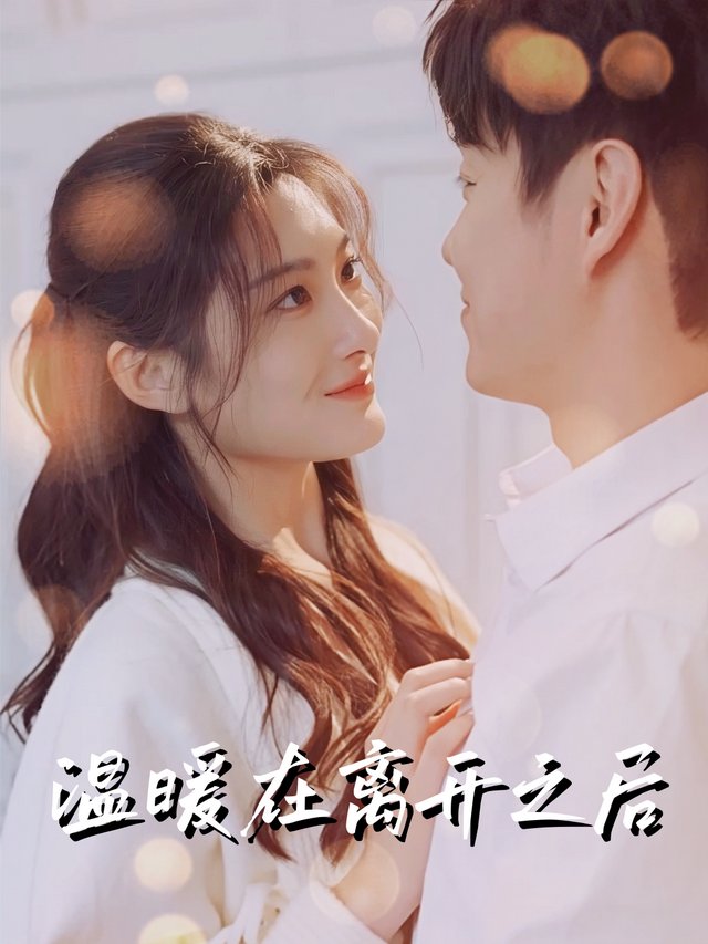 温暖在离开之后封面