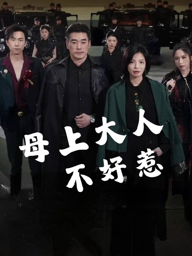 母上大人不好惹封面