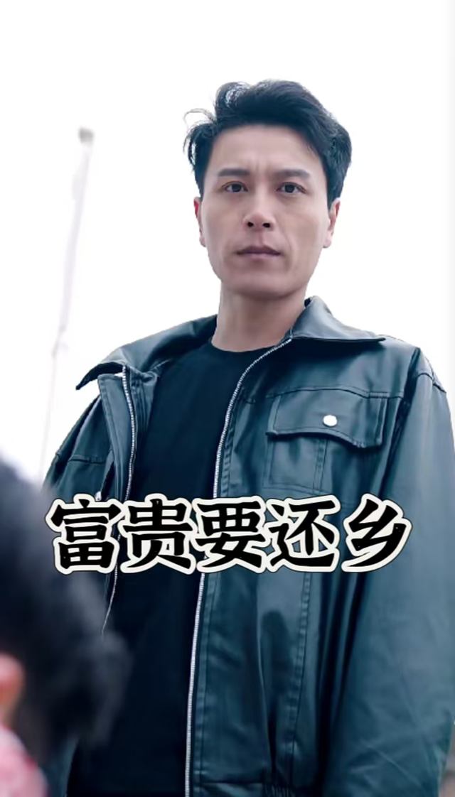 富贵要还乡封面