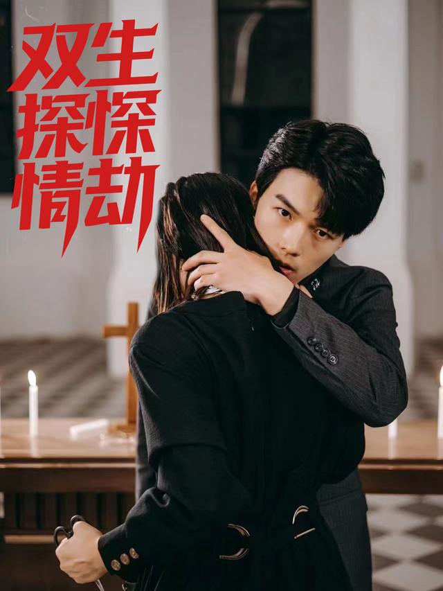 双生探情劫封面