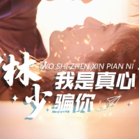 林少,我是真心骗你封面