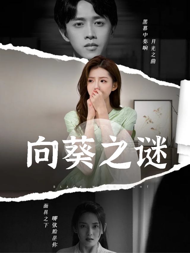 向葵之谜封面