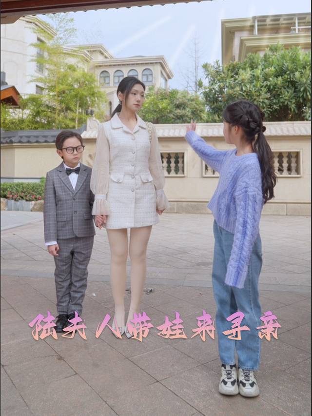 陆夫人带娃来寻亲封面