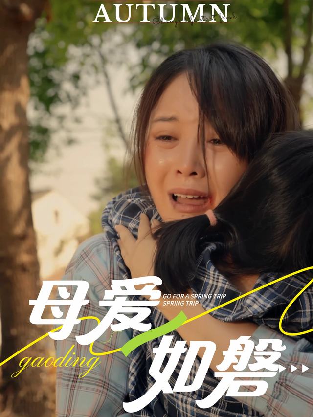 母爱如磐封面