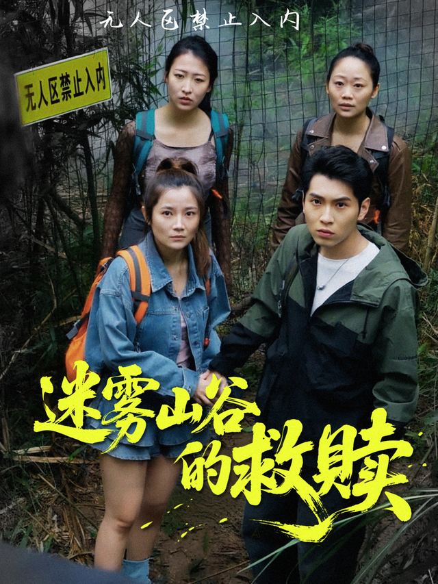 迷雾山谷的救赎封面