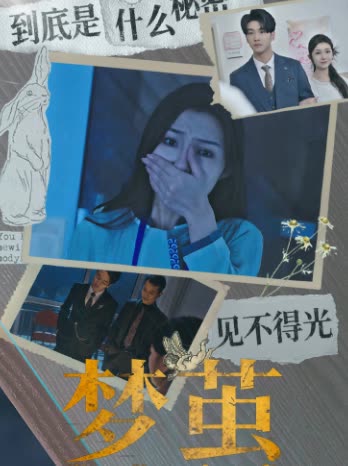 梦茧封面