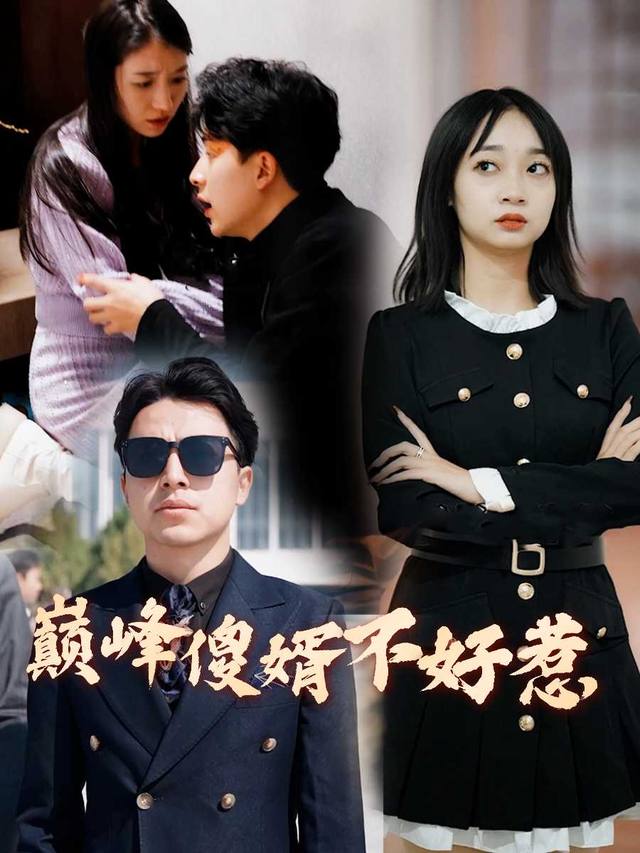 巅峰傻婿不好惹封面