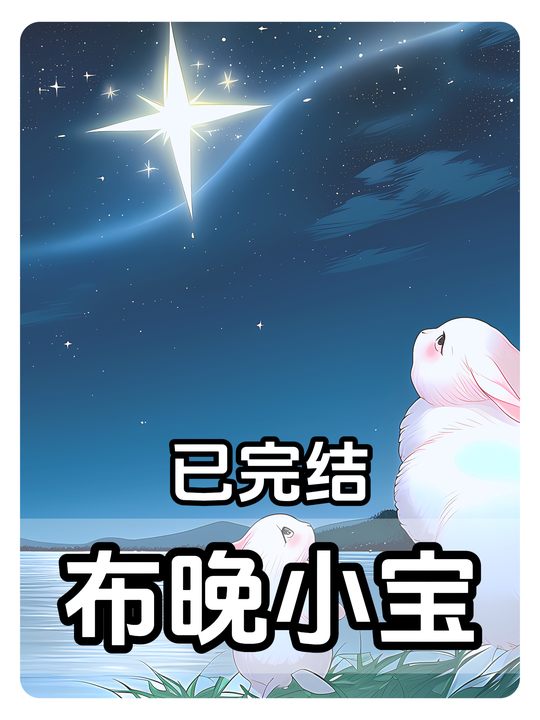 布晚小宝封面