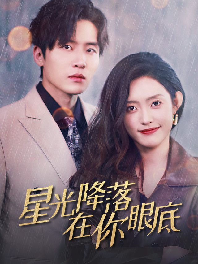 星光降落在你眼底封面