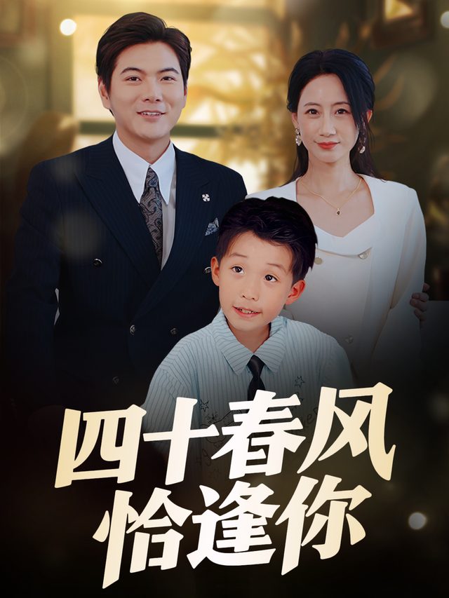 四十春风恰逢你封面