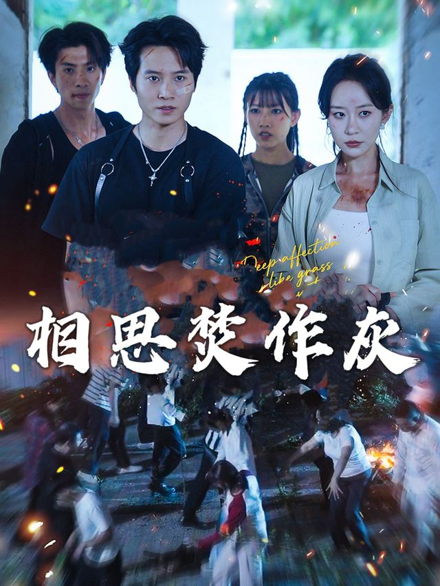 相思焚作灰封面