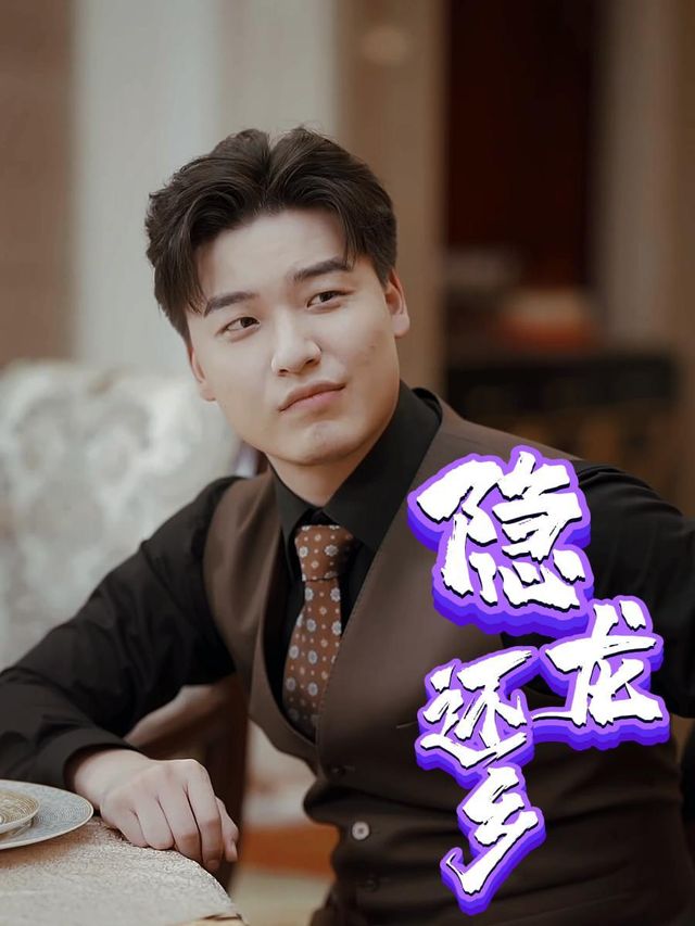 隐龙还乡封面