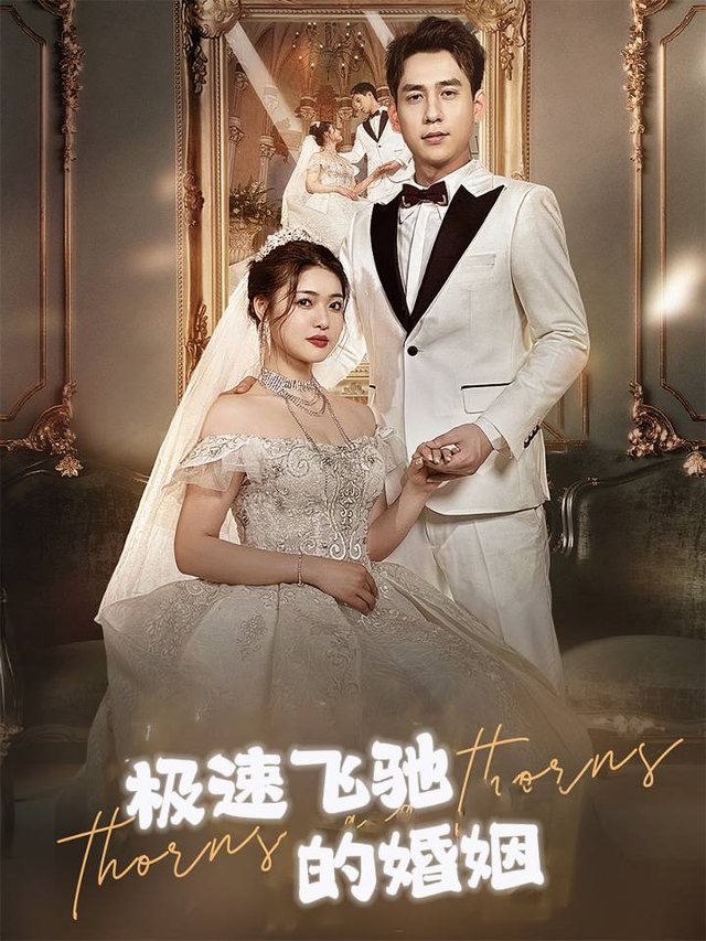 极速飞驰的婚姻封面