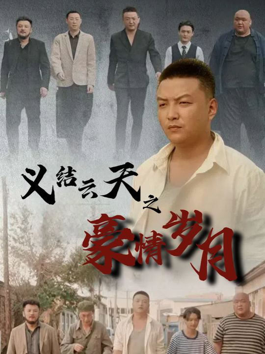 义结云天之豪情岁月封面