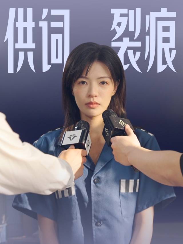 供词裂痕封面