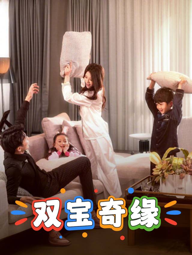 双宝奇缘封面