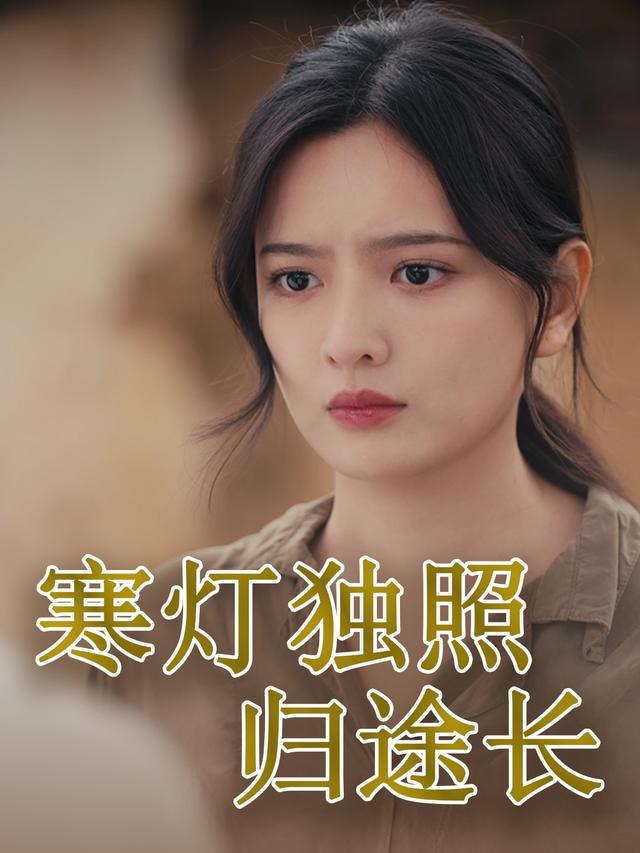 寒灯独照归途长封面