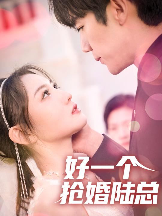 好一个抢婚陆总封面