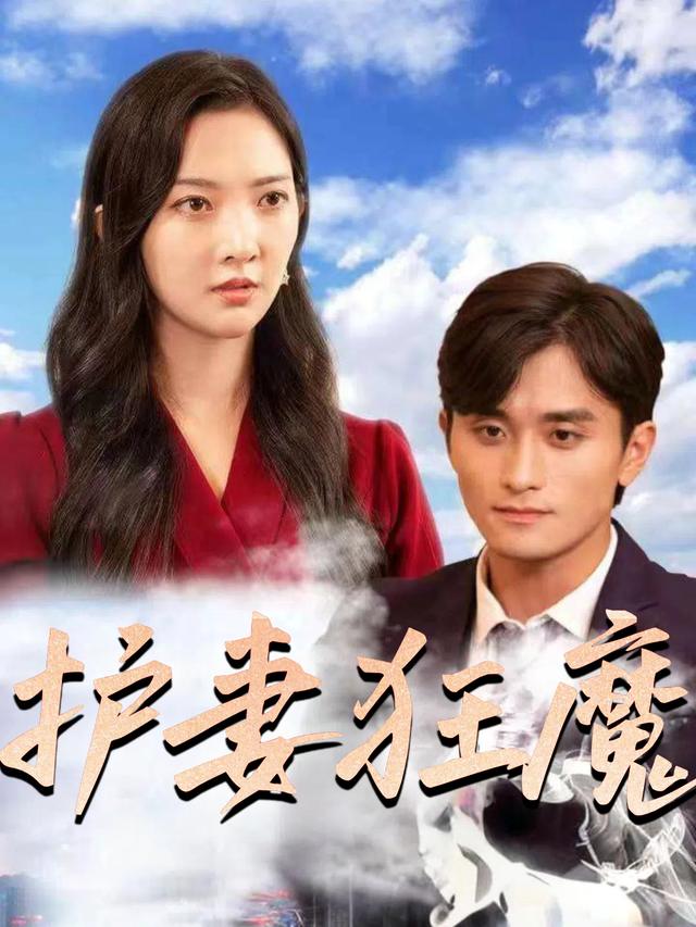 护妻狂魔封面