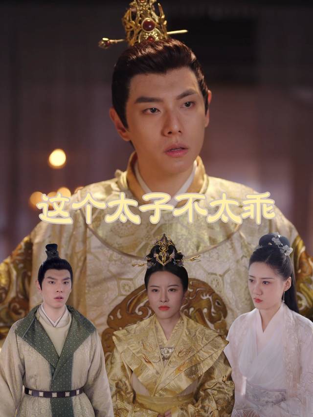 这个太子不太乖封面