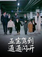 五宝驾到通通闪开封面