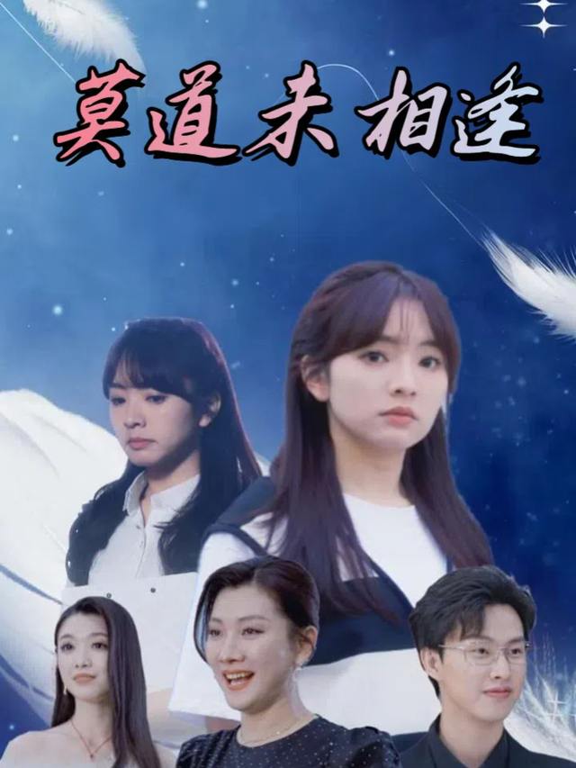 莫道未相逢封面