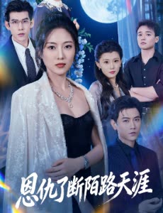 恩仇了断陌路天涯封面