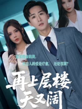 再上层楼天又阔封面